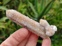 Natural Fairy Spirit Quartz Crystals x 24 From Boekenhouthoek, South Africa - Toprock Gemstones and Minerals 