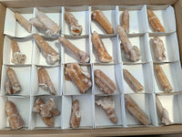 Natural Fairy Spirit Quartz Crystals x 24 From Boekenhouthoek, South Africa - Toprock Gemstones and Minerals 