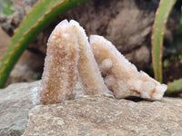 Natural Fairy Spirit Quartz Crystals x 24 From Boekenhouthoek, South Africa - Toprock Gemstones and Minerals 