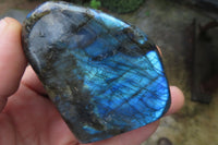 Polished Labradorite Standing Free Forms x 3 From Tulear, Madagascar - Toprock Gemstones and Minerals 