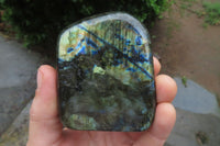 Polished Labradorite Standing Free Forms x 3 From Tulear, Madagascar - Toprock Gemstones and Minerals 