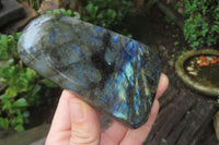 Polished Labradorite Standing Free Forms x 3 From Tulear, Madagascar - Toprock Gemstones and Minerals 