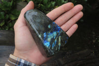 Polished Labradorite Standing Free Forms x 3 From Tulear, Madagascar - Toprock Gemstones and Minerals 