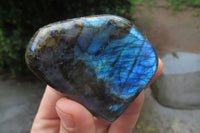 Polished Labradorite Standing Free Forms x 3 From Tulear, Madagascar - Toprock Gemstones and Minerals 