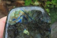 Polished Labradorite Standing Free Forms x 3 From Tulear, Madagascar - Toprock Gemstones and Minerals 