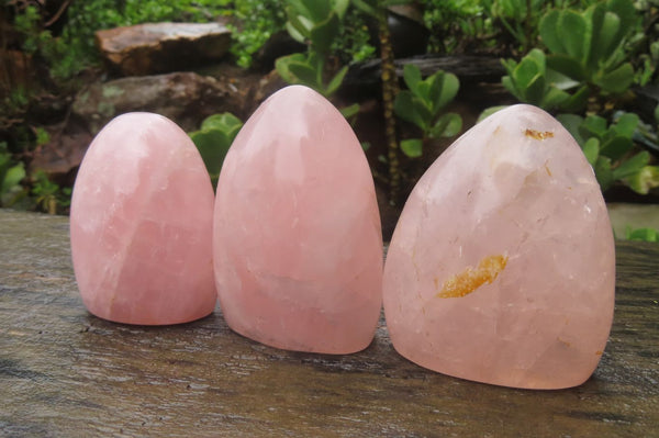 Polished Rose Quartz Standing Free Forms x 6 From Madagascar - Toprock Gemstones and Minerals 