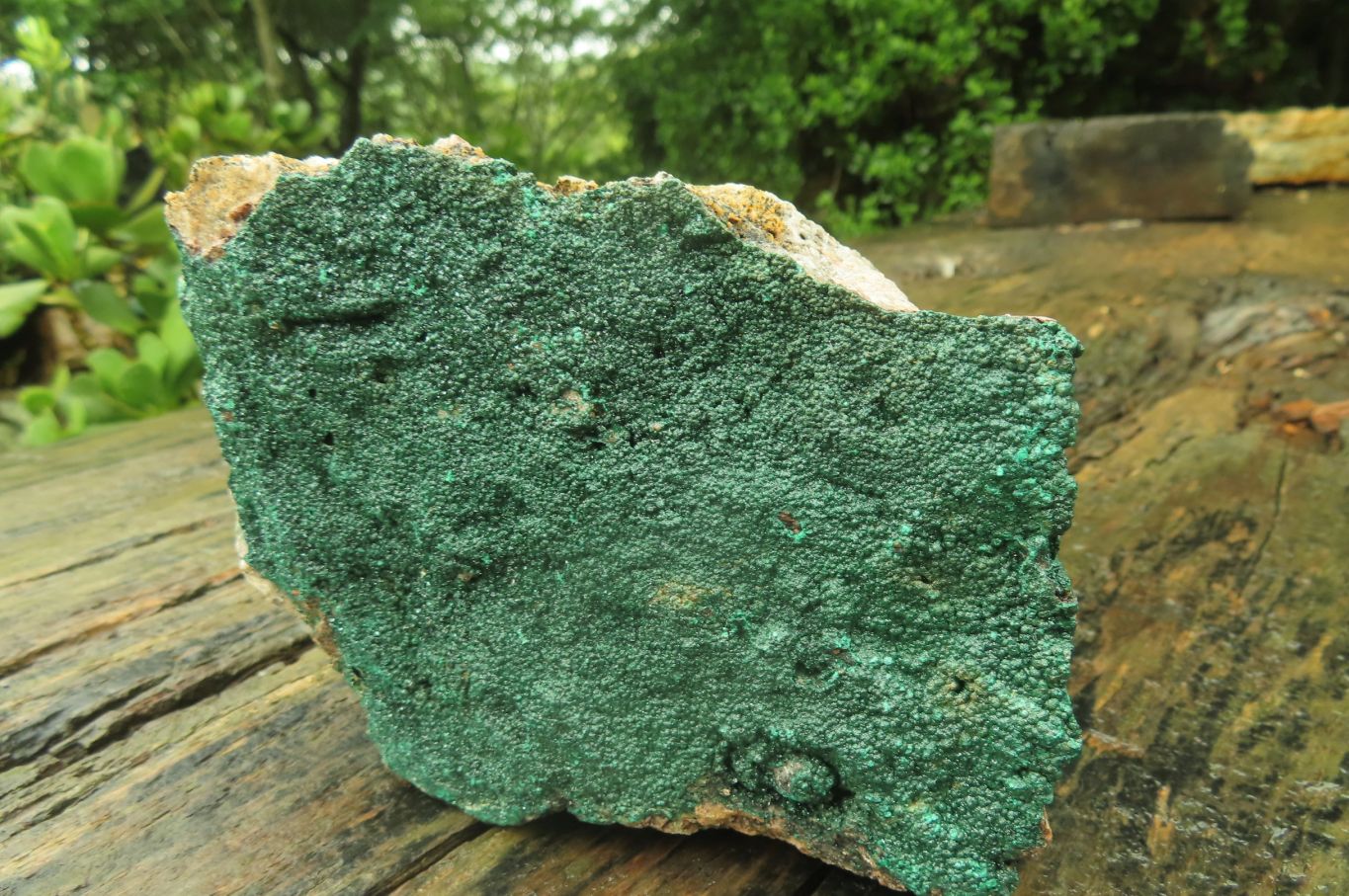 Natural Botryoidal Malachite Specimen x 1 From Tenke Fungurume, Congo - Toprock Gemstones and Minerals 