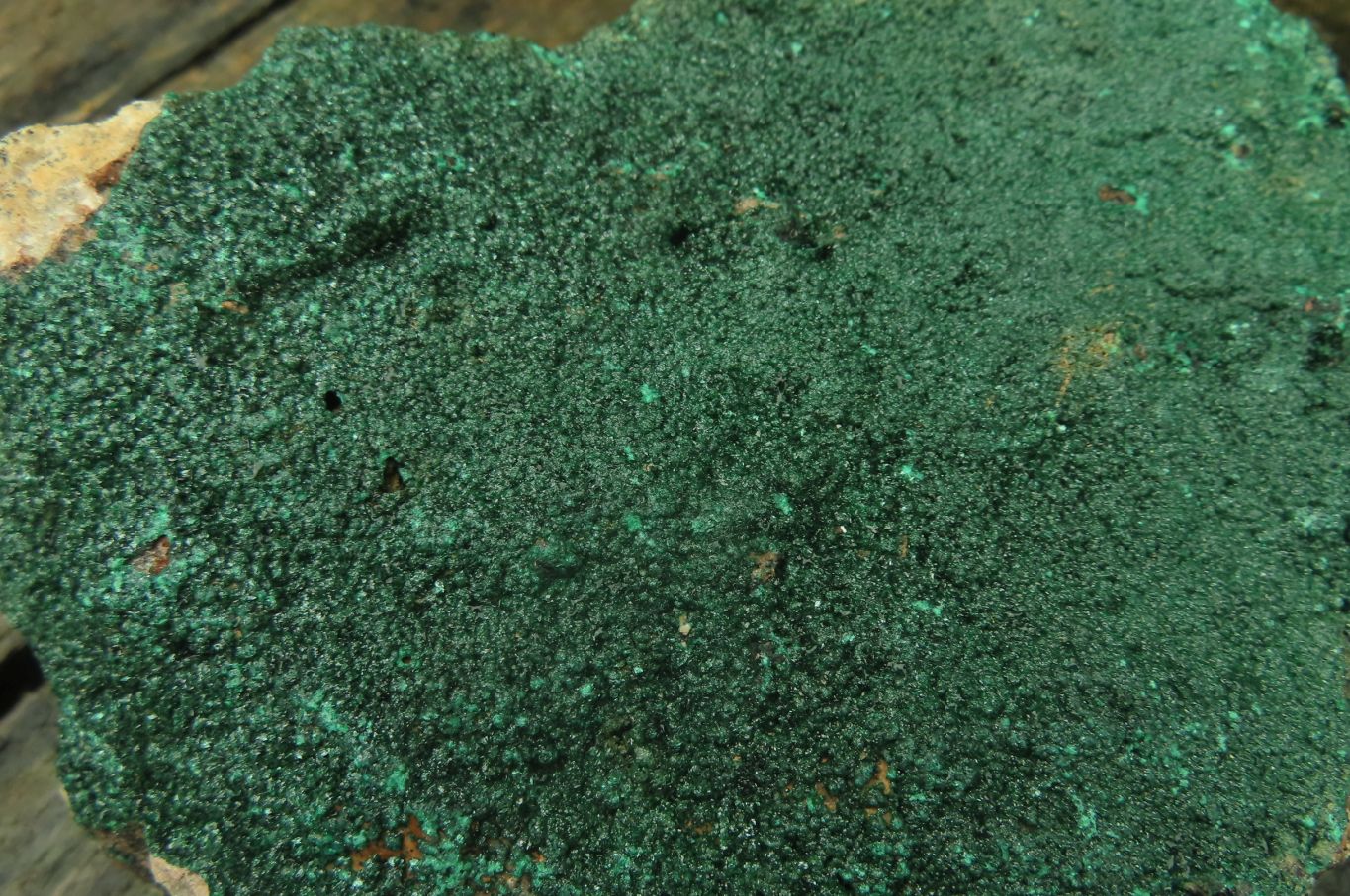 Natural Botryoidal Malachite Specimen x 1 From Tenke Fungurume, Congo - Toprock Gemstones and Minerals 