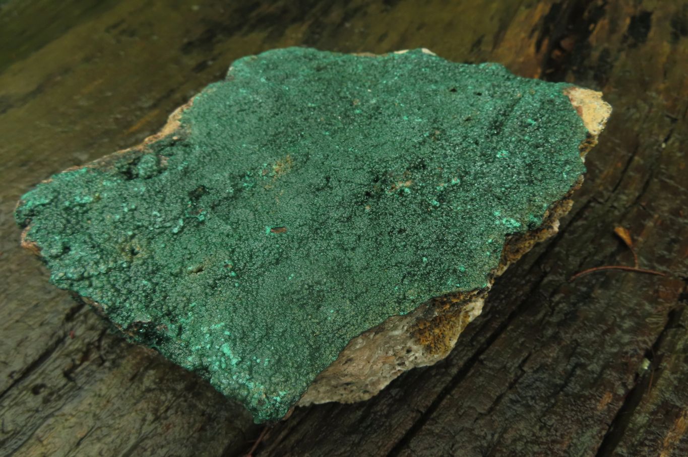 Natural Botryoidal Malachite Specimen x 1 From Tenke Fungurume, Congo - Toprock Gemstones and Minerals 