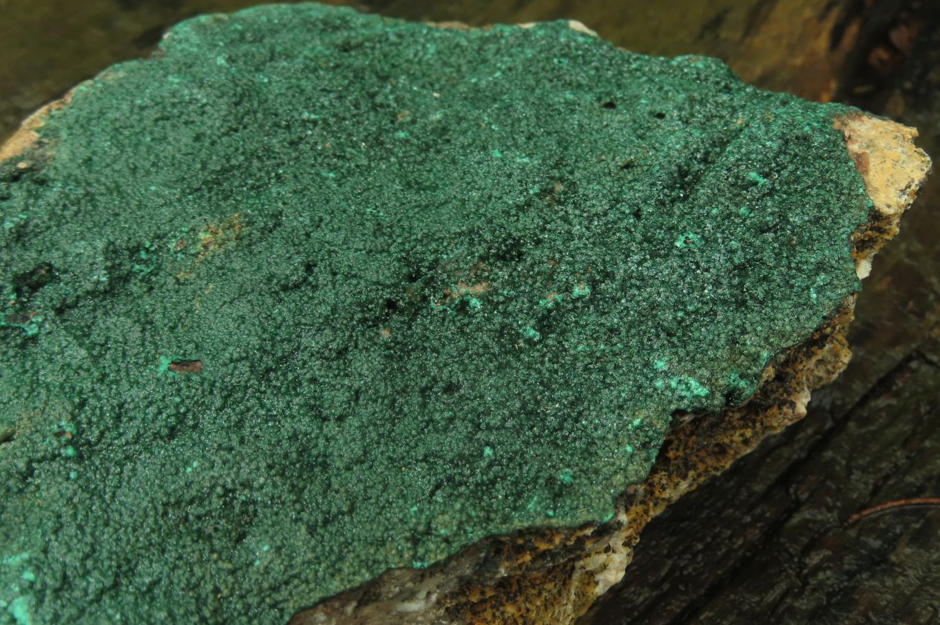Natural Botryoidal Malachite Specimen x 1 From Tenke Fungurume, Congo - Toprock Gemstones and Minerals 