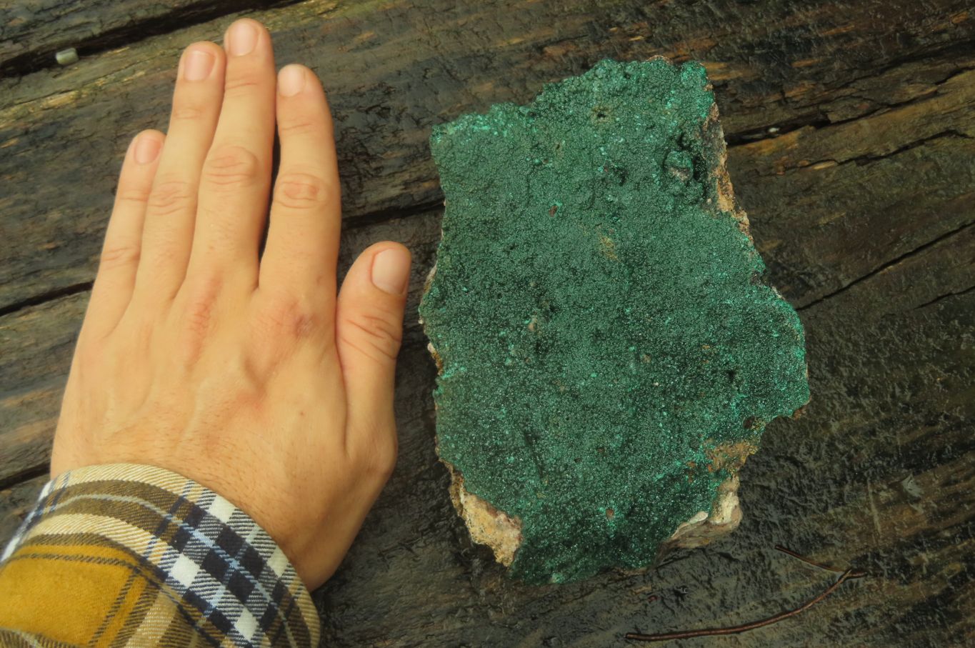 Natural Botryoidal Malachite Specimen x 1 From Tenke Fungurume, Congo - Toprock Gemstones and Minerals 