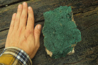 Natural Botryoidal Malachite Specimen x 1 From Tenke Fungurume, Congo - Toprock Gemstones and Minerals 