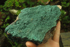 Natural Botryoidal Malachite Specimen x 1 From Tenke Fungurume, Congo - Toprock Gemstones and Minerals 
