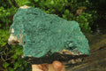 Natural Botryoidal Malachite Specimen x 1 From Tenke Fungurume, Congo - Toprock Gemstones and Minerals 