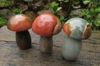 Polished Polychrome Jasper Mushrooms x 6 From Madagascar - Toprock Gemstones and Minerals 