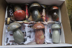 Polished Polychrome Jasper Mushrooms x 6 From Madagascar - Toprock Gemstones and Minerals 