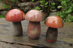 Polished Polychrome Jasper Mushrooms x 6 From Madagascar - Toprock Gemstones and Minerals 