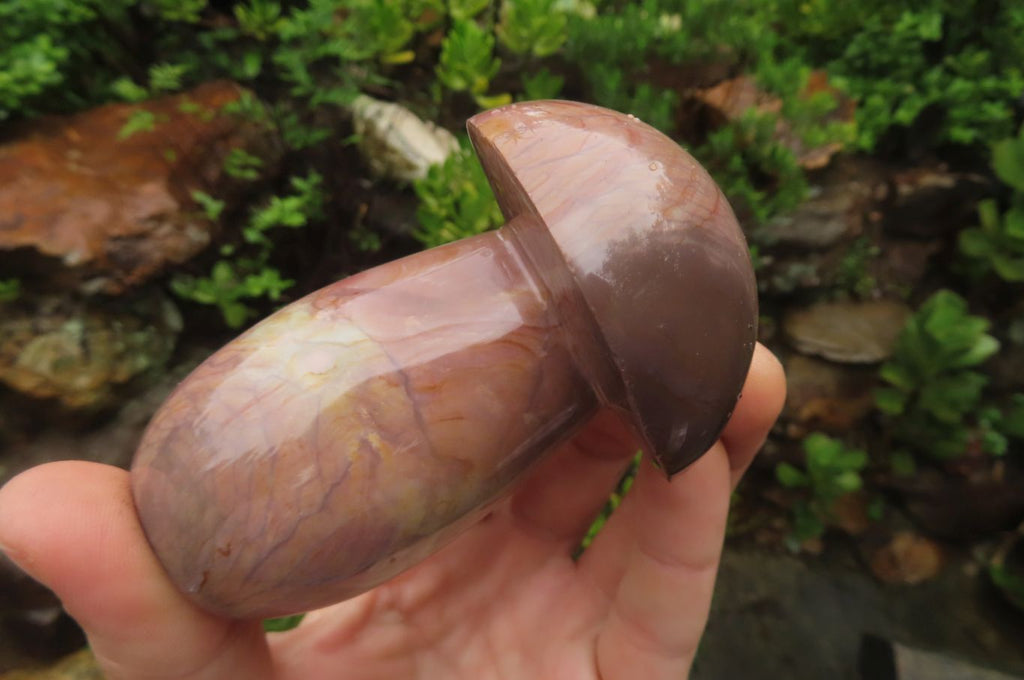 Polished Polychrome Jasper Mushrooms x 6 From Madagascar - Toprock Gemstones and Minerals 