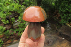 Polished Polychrome Jasper Mushrooms x 6 From Madagascar - Toprock Gemstones and Minerals 