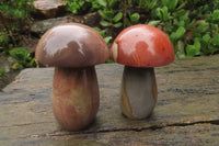 Polished Polychrome Jasper Mushrooms x 6 From Madagascar - Toprock Gemstones and Minerals 