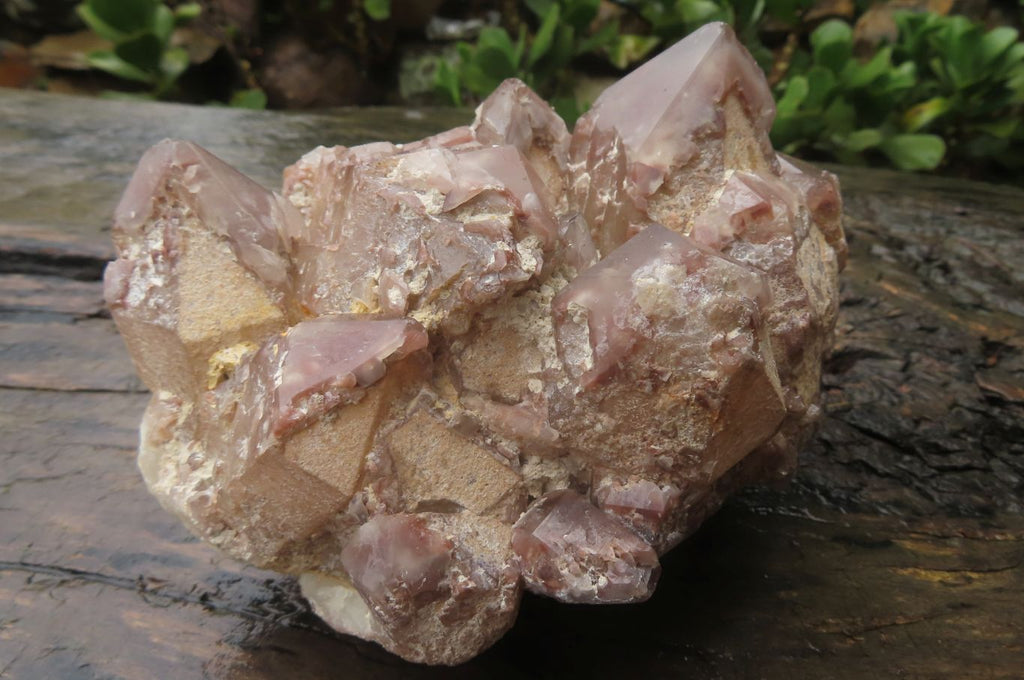 Natural Red Hematoid Quartz Cluster x 1 From Karoi, Zimbabwe - Toprock Gemstones and Minerals 
