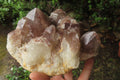 Natural Red Hematoid Quartz Cluster x 1 From Karoi, Zimbabwe - Toprock Gemstones and Minerals 