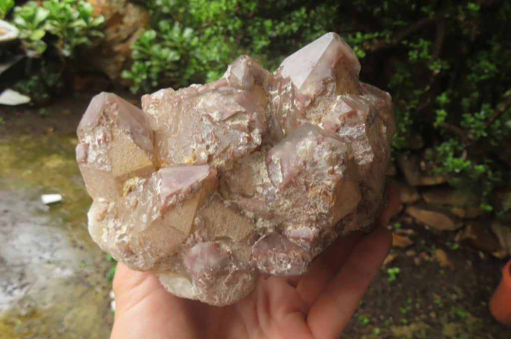 Natural Red Hematoid Quartz Cluster x 1 From Karoi, Zimbabwe - Toprock Gemstones and Minerals 
