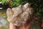 Natural Red Hematoid Quartz Cluster x 1 From Karoi, Zimbabwe - Toprock Gemstones and Minerals 