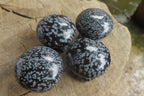 Polished Snowflake Obsidian Drawer - Door Knobs - Sold Per Item - From Mexico - Toprock Gemstones and Minerals 