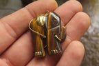 Polished Golden Tigers Eye Elephant Pendant with Gold Bail and Trim - Sold Per Item - From China - Toprock Gemstones and Minerals 