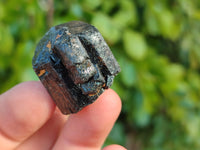 Natural Alluvial Schorl Black Tourmaline Crystals x 70 From Zimbabwe - Toprock Gemstones and Minerals 