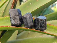 Natural Alluvial Schorl Black Tourmaline Crystals x 70 From Zimbabwe - Toprock Gemstones and Minerals 