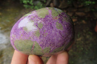 Polished Stichtite Free Forms x 6 From Barberton, South Africa - Toprock Gemstones and Minerals 