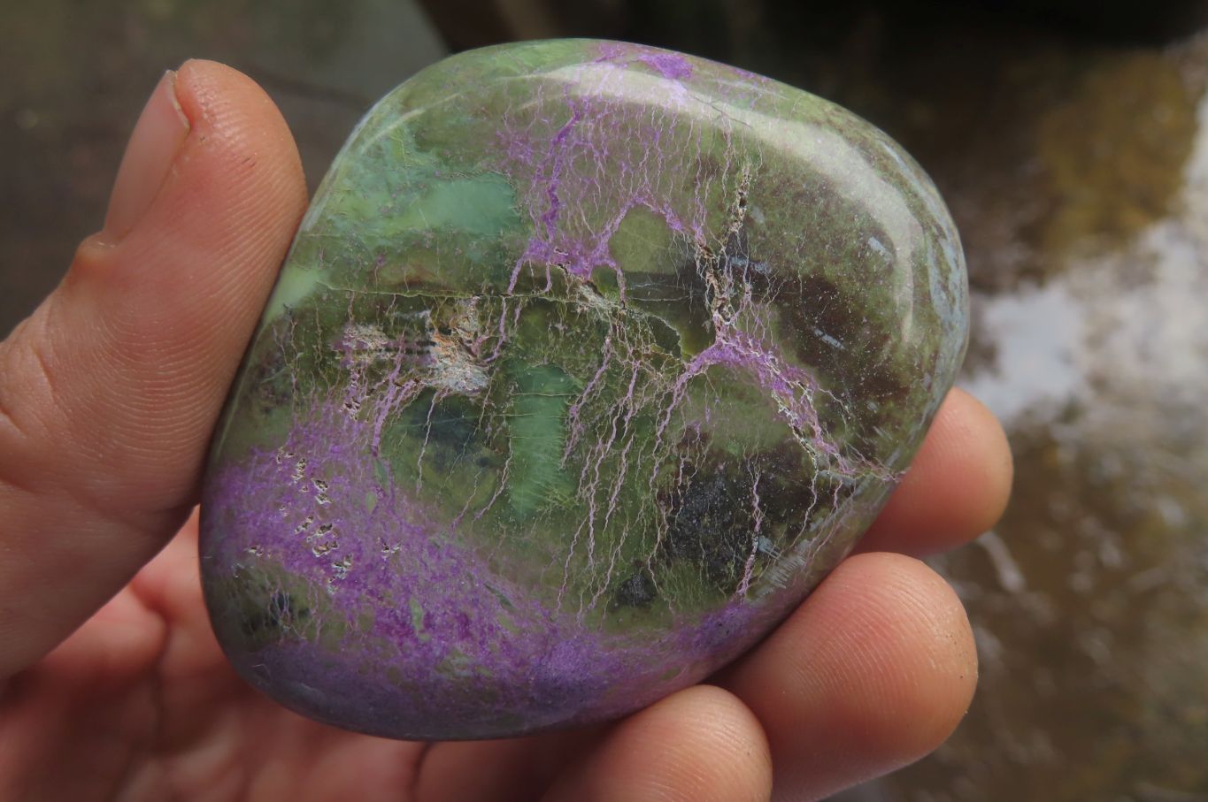 Polished Stichtite Free Forms x 6 From Barberton, South Africa - Toprock Gemstones and Minerals 