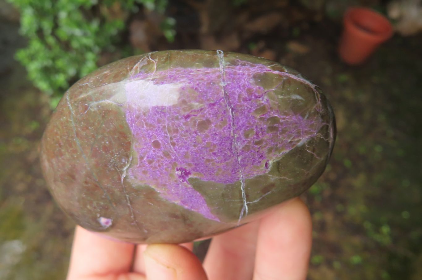 Polished Stichtite Free Forms x 6 From Barberton, South Africa - Toprock Gemstones and Minerals 