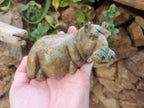 Hand Made Green Verdite Hippo Carvings x 3 From Zimbabwe - Toprock Gemstones and Minerals 