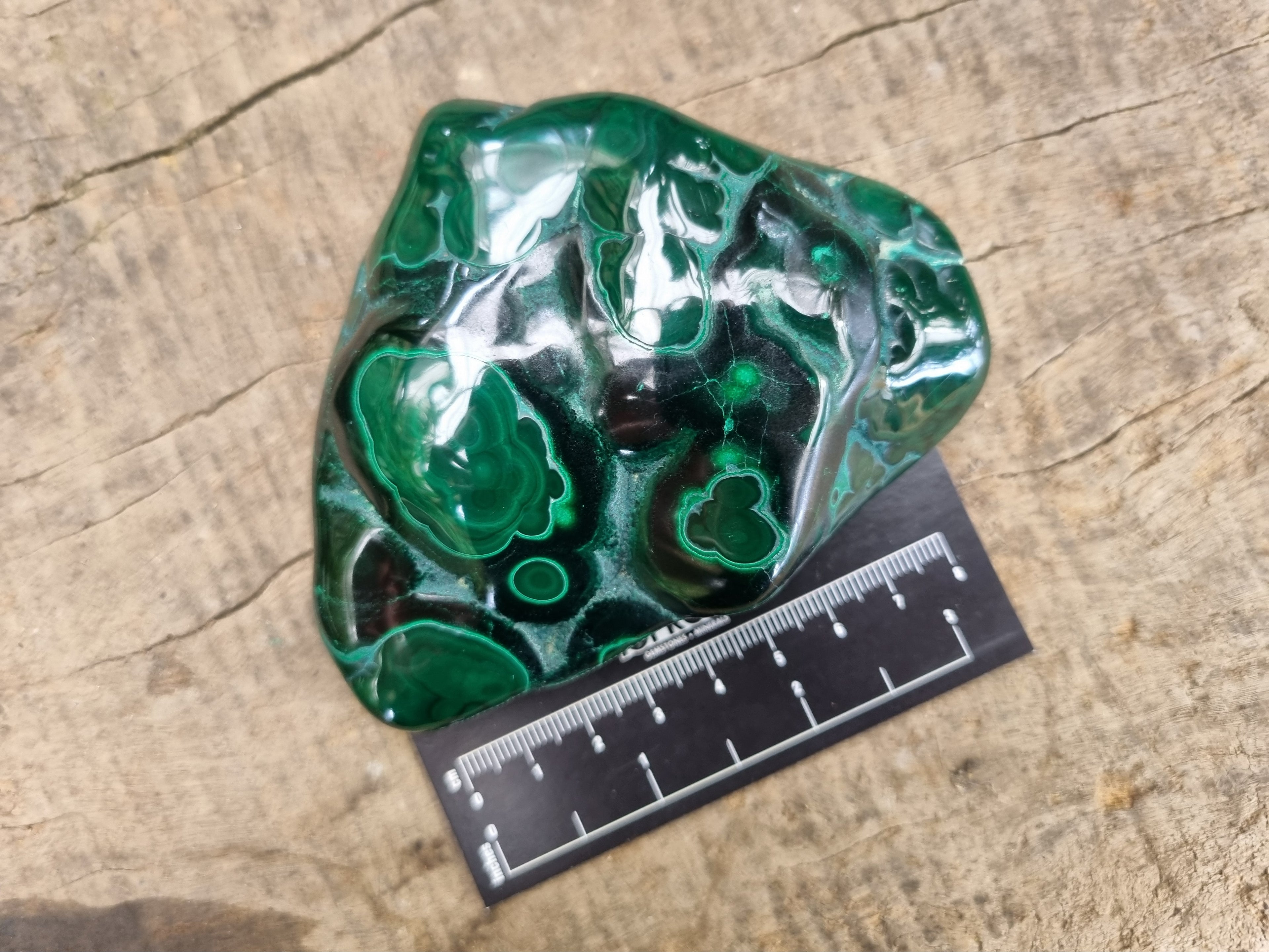 Polished Flower Banded Malachite Free Forms x 4 From Congo - Toprock Gemstones and Minerals 