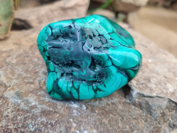 Polished Flower Banded Malachite Free Forms x 4 From Congo - Toprock Gemstones and Minerals 