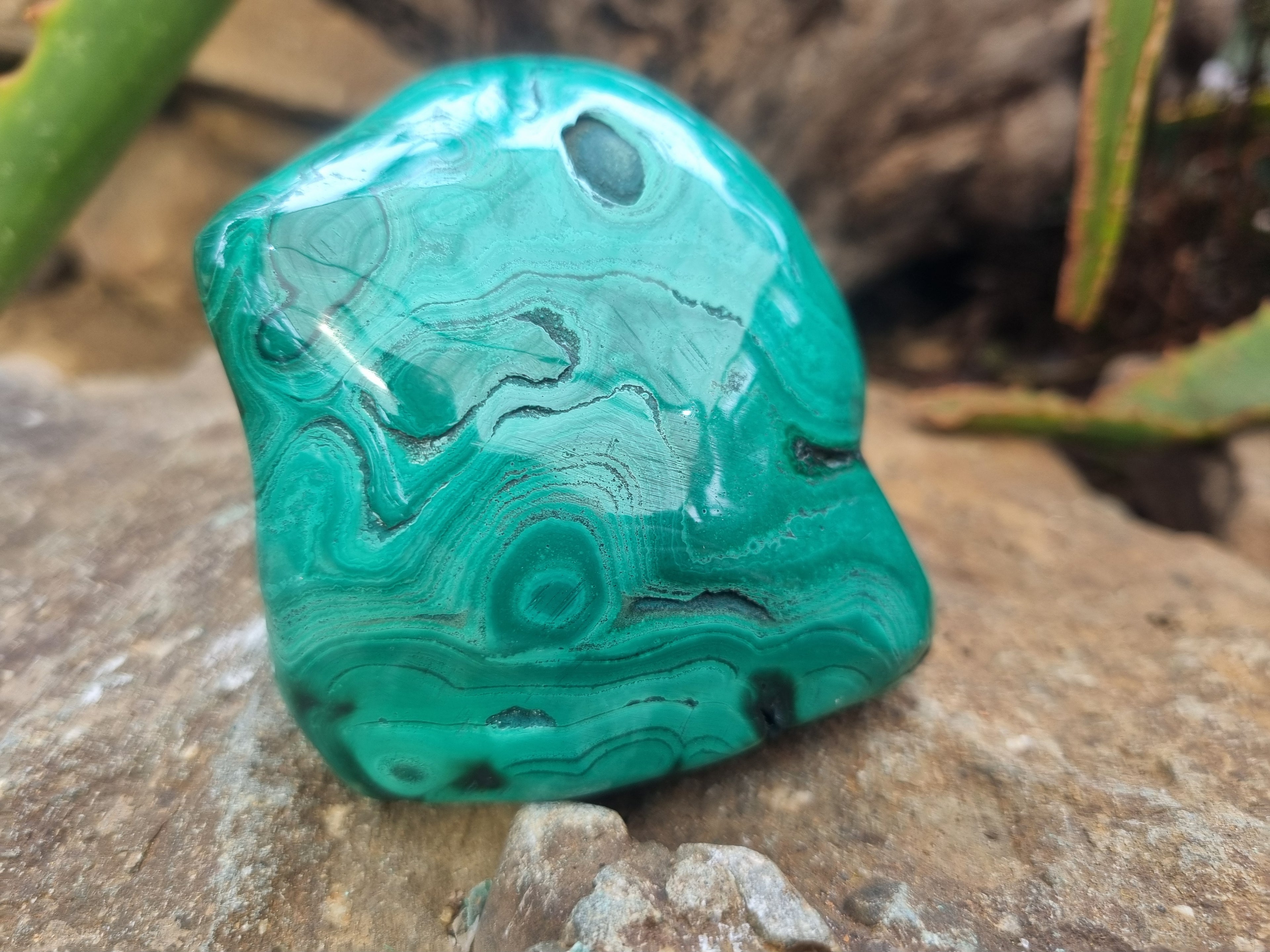 Polished Flower Banded Malachite Free Forms x 4 From Congo - Toprock Gemstones and Minerals 