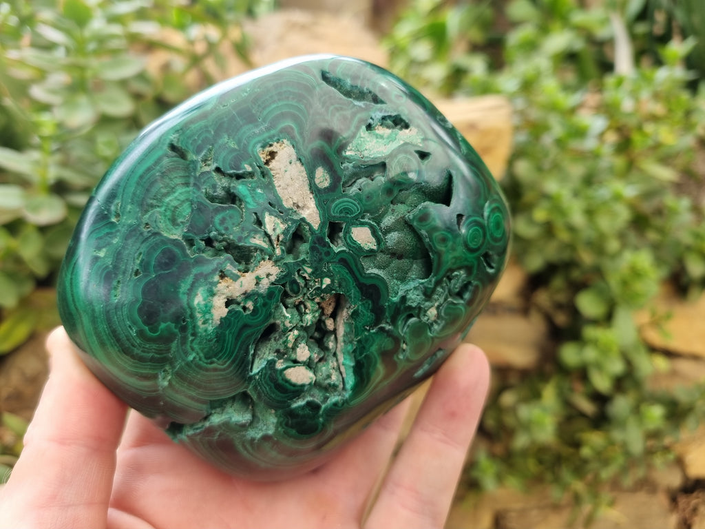 Polished Flower Banded Malachite Free Forms x 4 From Congo - Toprock Gemstones and Minerals 