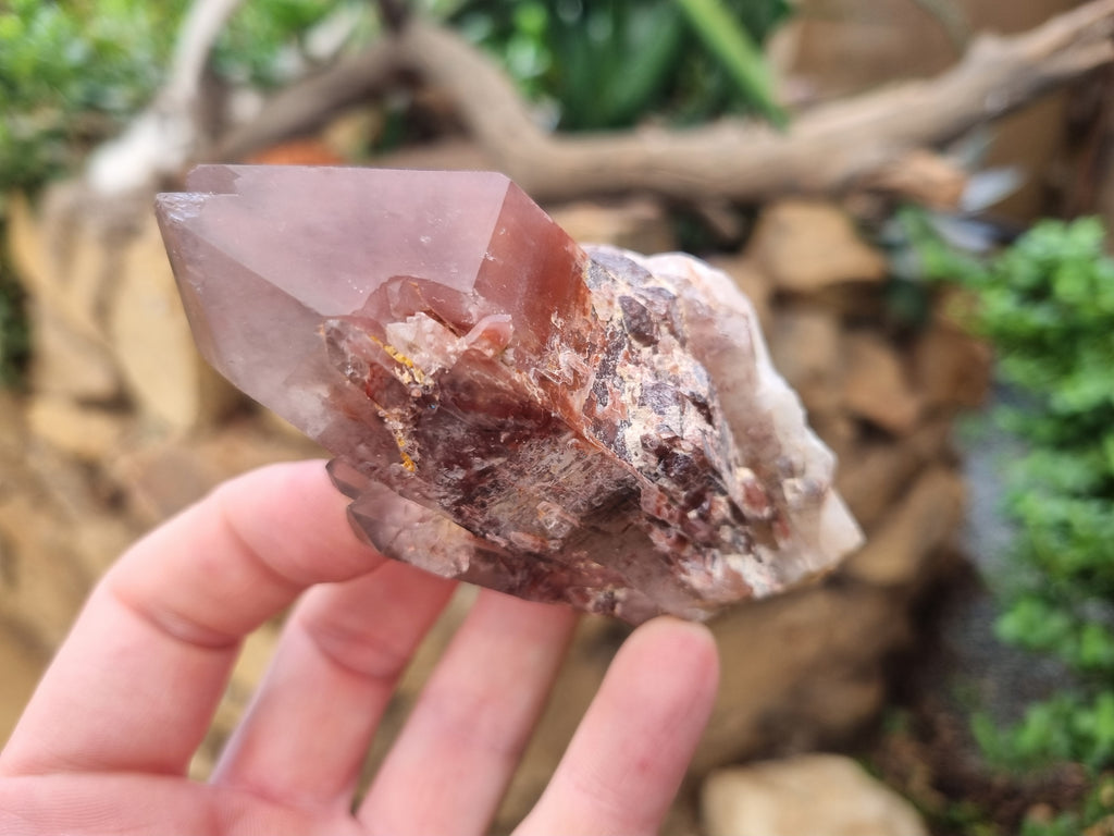 Natural Red Hematoid Quartz Crystals x 12 From Karoi, Zimbabwe - Toprock Gemstones and Minerals 