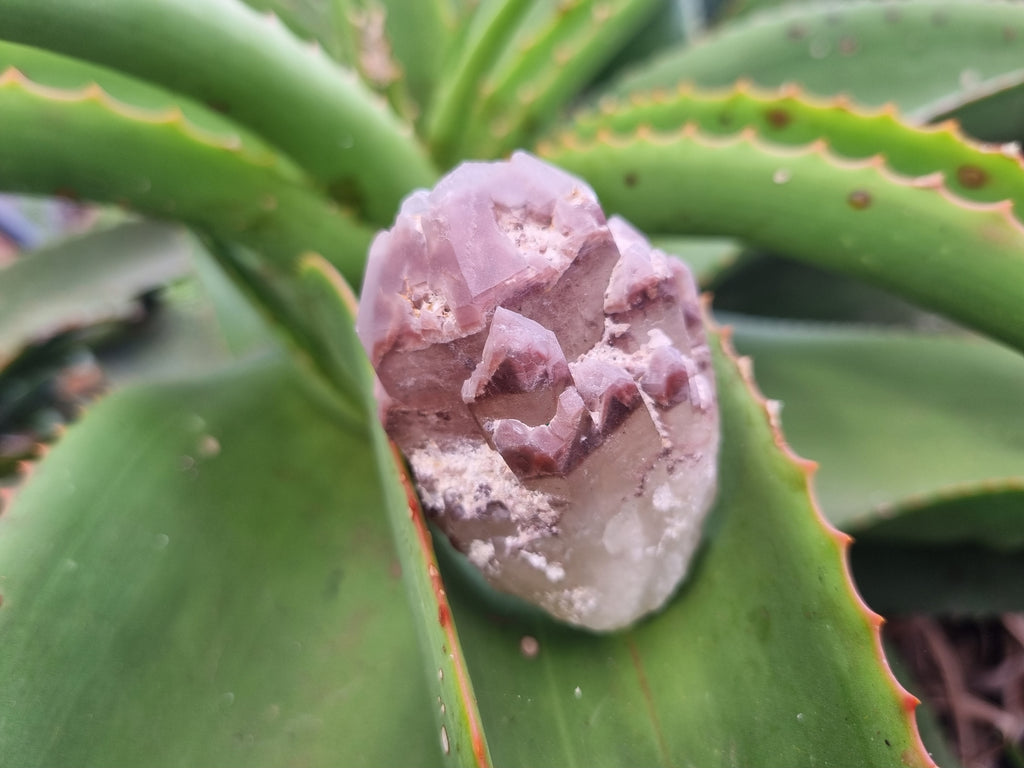 Natural Red Hematoid Quartz Crystals x 12 From Karoi, Zimbabwe - Toprock Gemstones and Minerals 