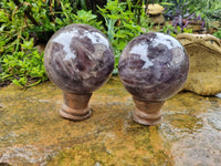 Polished Chevron Amethyst Spheres x 2 from Madagascar - Toprock Gemstones and Minerals 