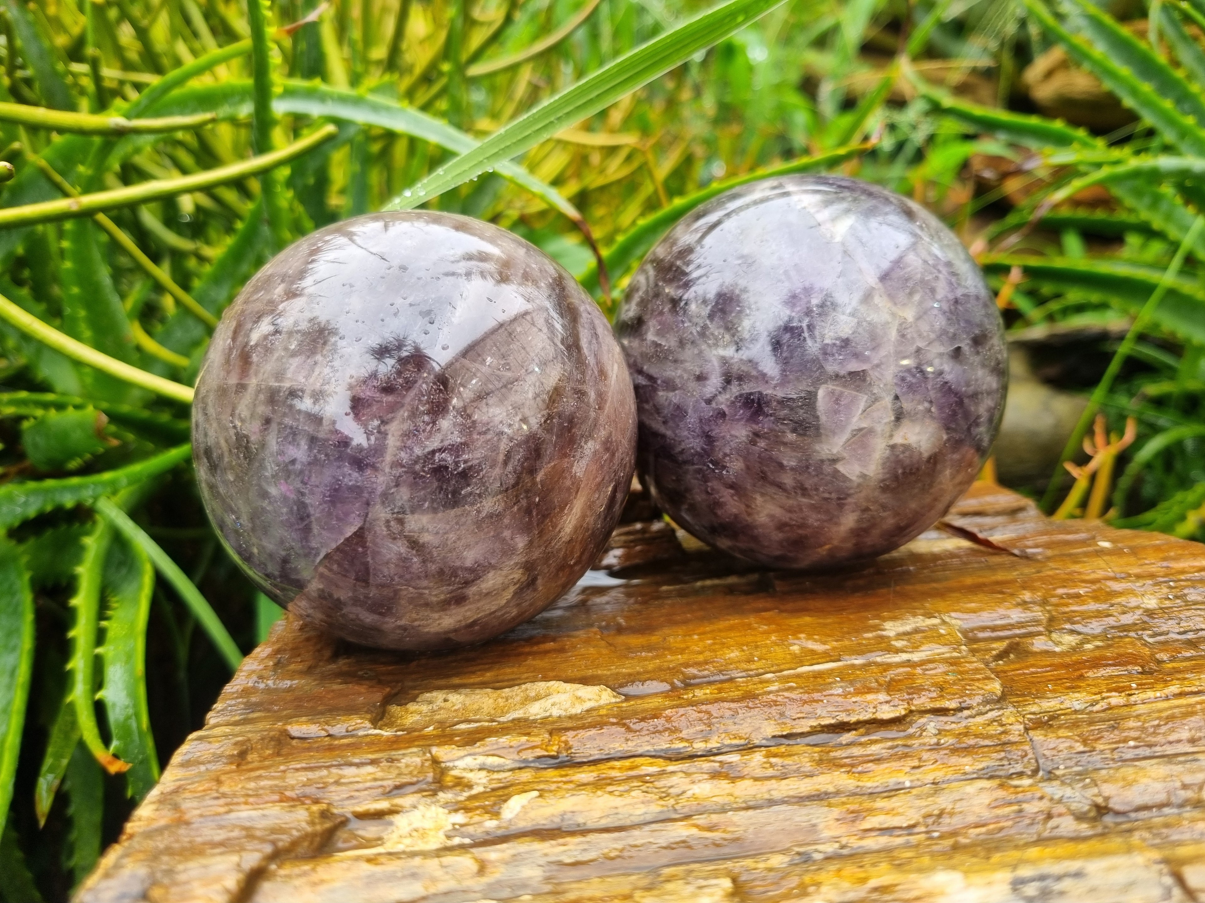Polished Chevron Amethyst Spheres x 2 from Madagascar - Toprock Gemstones and Minerals 