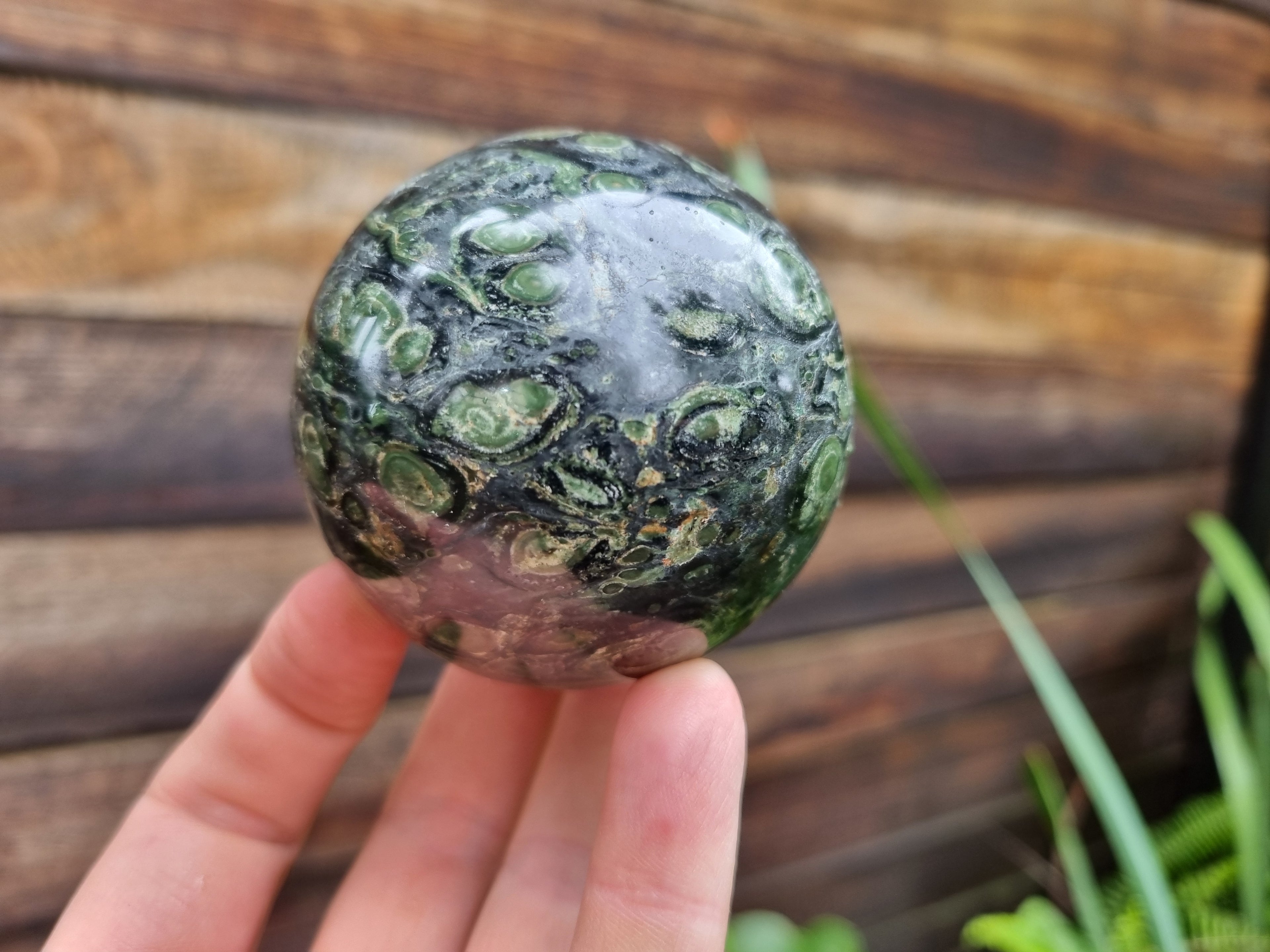 Polished Stromatolite Jasper Spheres x 6 From Katsepy, Madagascar - Toprock Gemstones and Minerals 