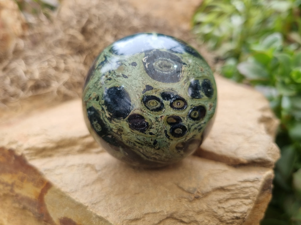 Polished Stromatolite Jasper Spheres x 6 From Katsepy, Madagascar - Toprock Gemstones and Minerals 