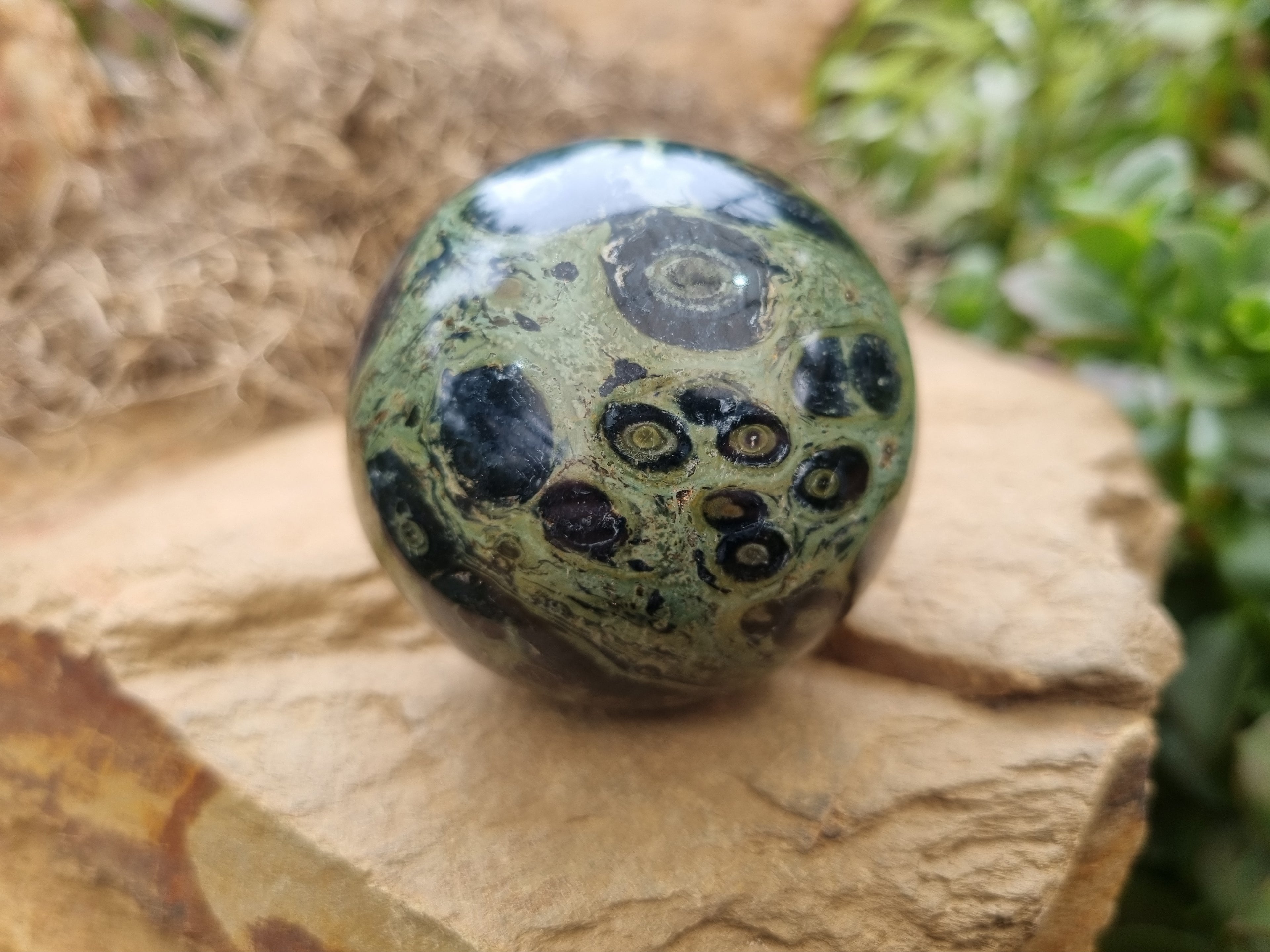 Polished Stromatolite Jasper Spheres x 6 From Katsepy, Madagascar - Toprock Gemstones and Minerals 