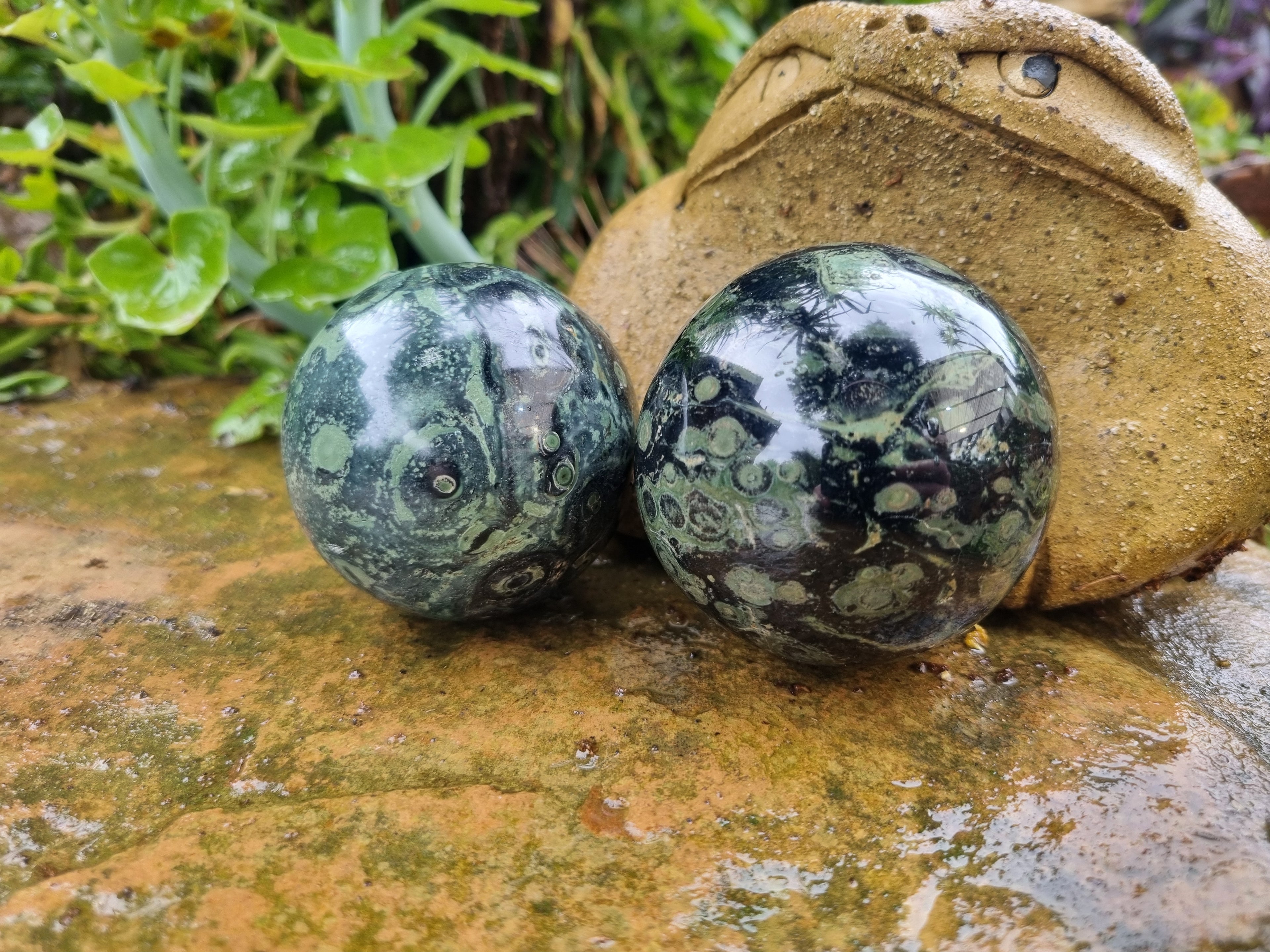 Polished Stromatolite Jasper Spheres x 6 From Katsepy, Madagascar - Toprock Gemstones and Minerals 