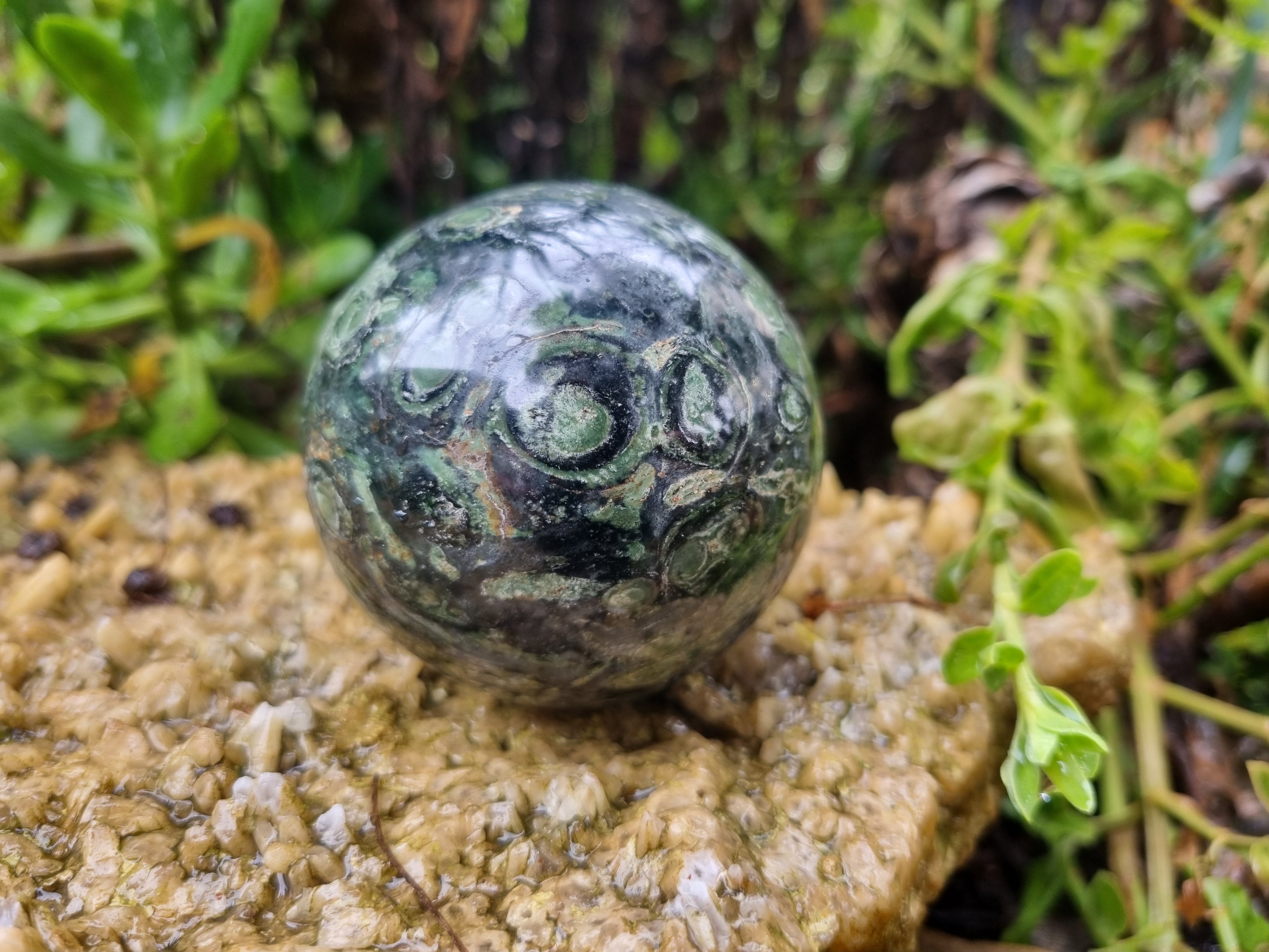 Polished Stromatolite Jasper Spheres x 6 From Katsepy, Madagascar - Toprock Gemstones and Minerals 