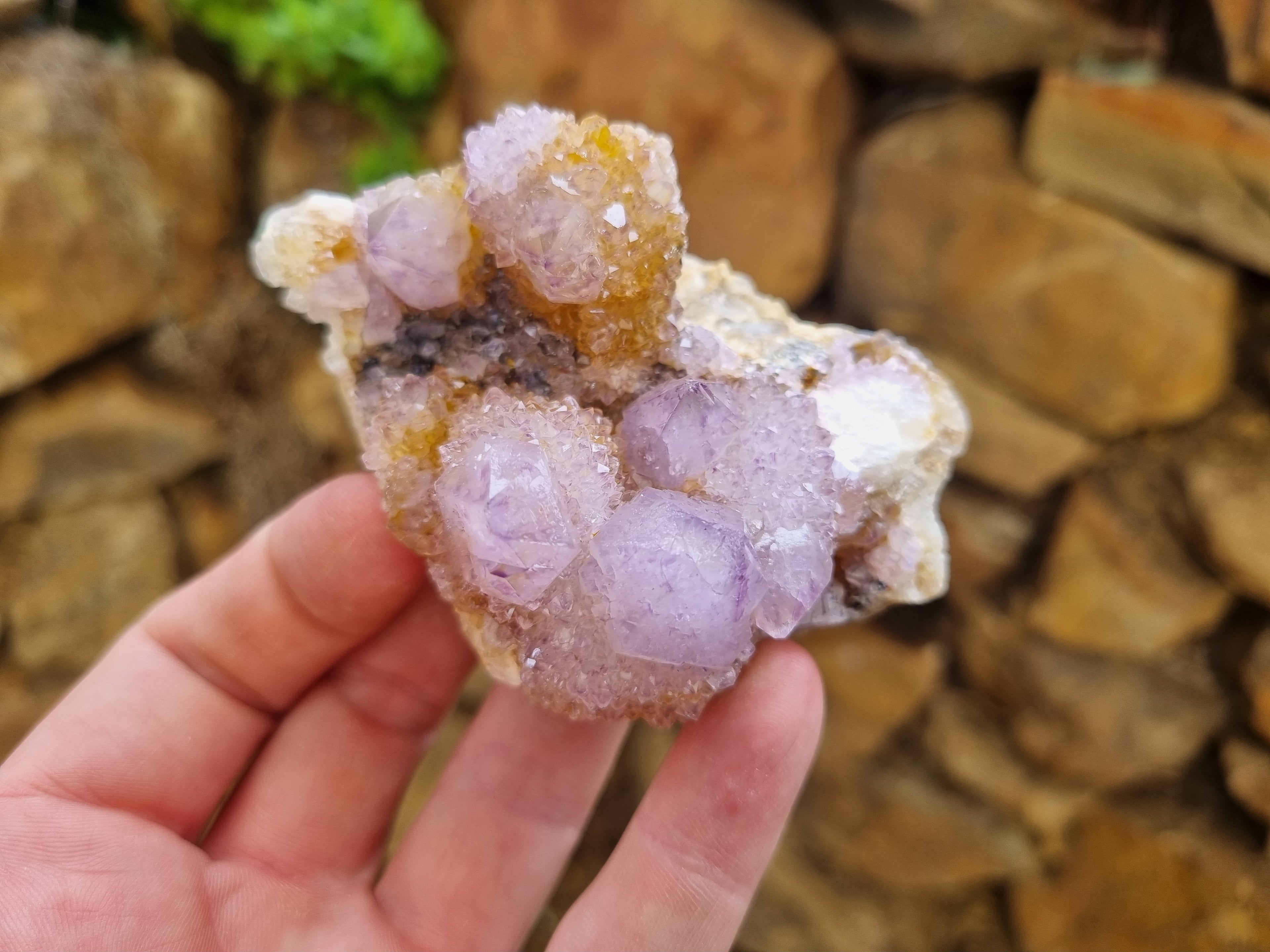 Natural Ametrine Spirit Quartz Clusters x 6 From Boekenhouthoek, South Africa - Toprock Gemstones and Minerals 
